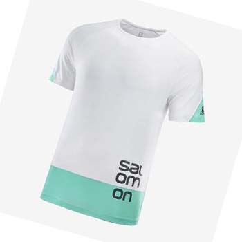 Camiseta Salomon CROSS RUN GRAPHIC Hombre Blancos | MX 3223BEX